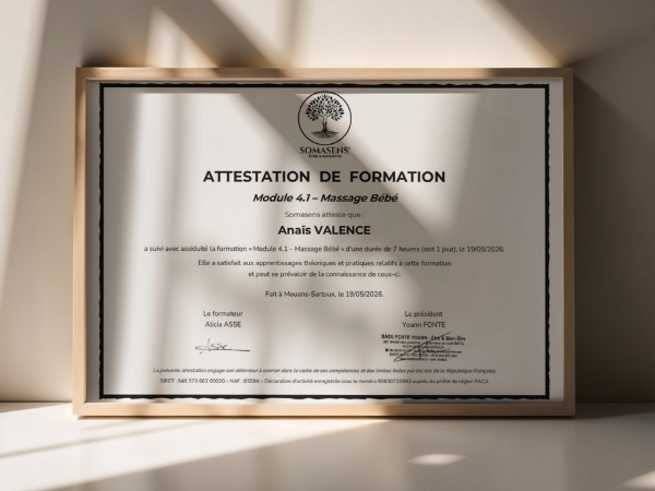 Exemple d'attestation de formation Somasens remise en fin de cursus